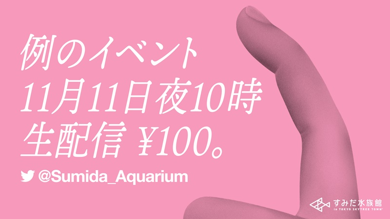 https://www.sumida-aquarium.com/mainichi-aquarium/nemurium/chin/