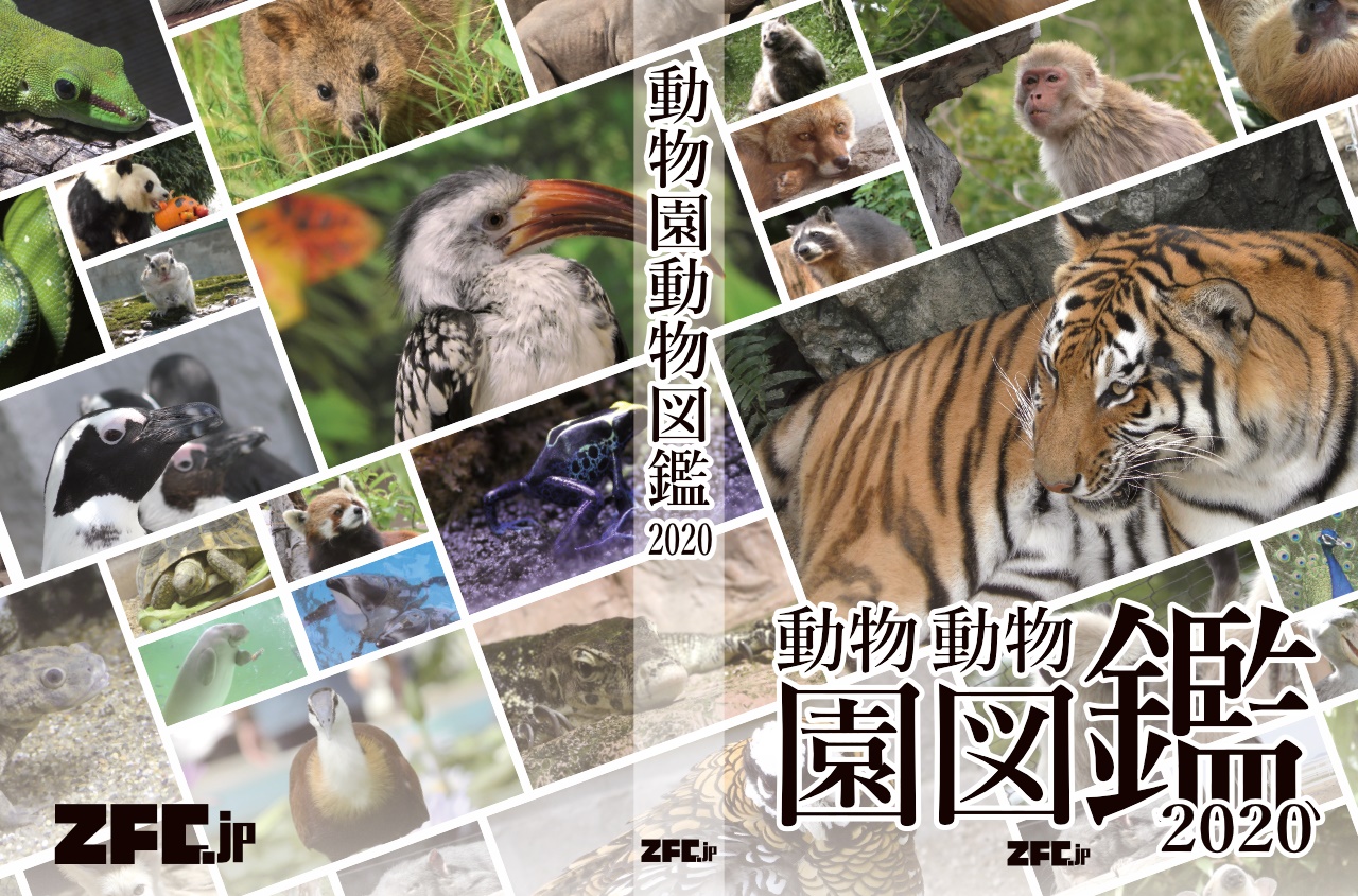 「動物園動物図鑑 2020」発売しました！
