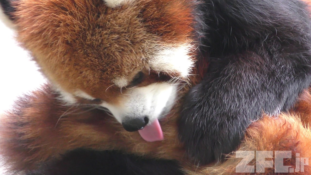 AN1pwgPUBx8.jpg AN1pwgPUBx8.jpg