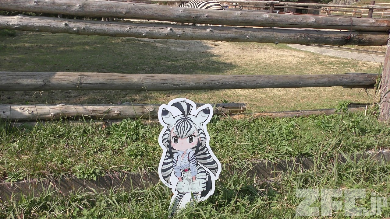 けものフレンズパネルとチャップマンシマウマ みさき公園 17年11月4日 Zfc Jp