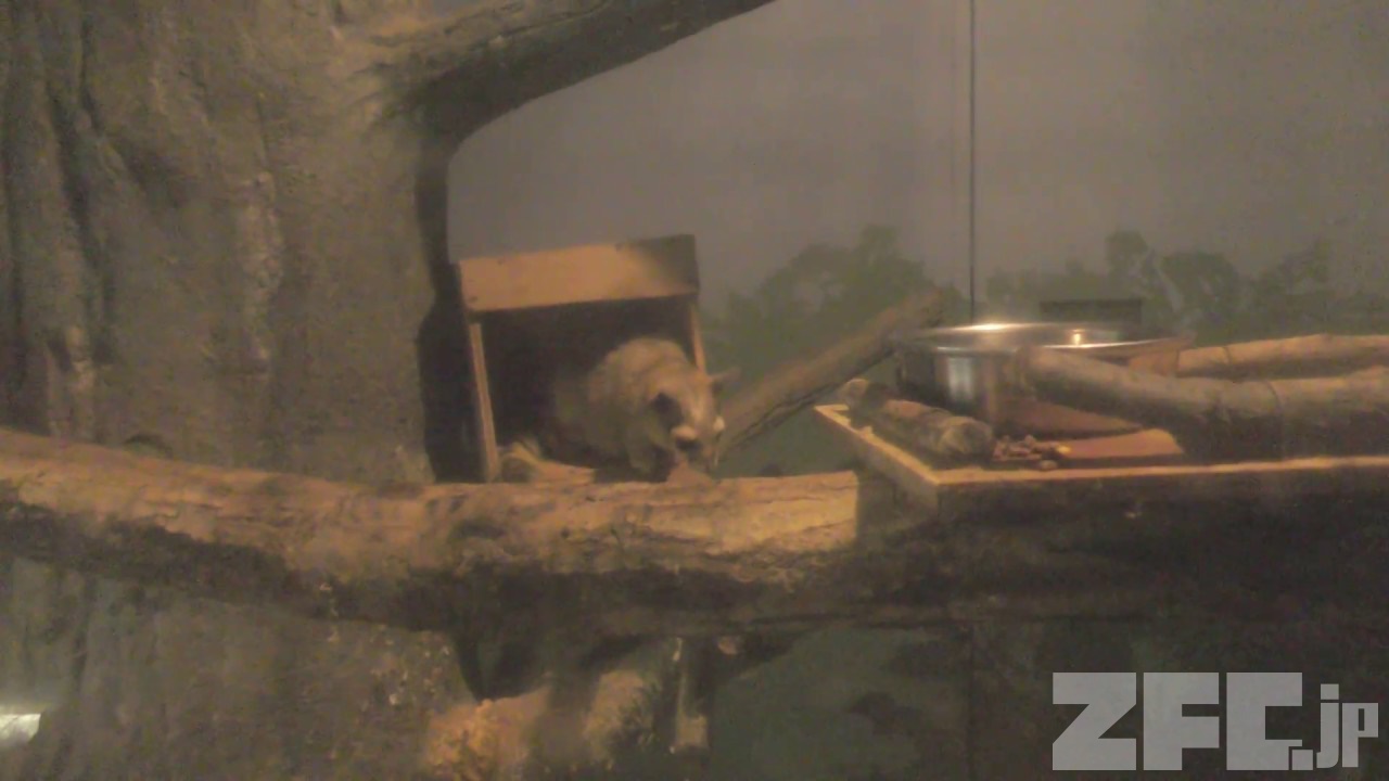 カコミスル 動物図鑑 ZFC.jp