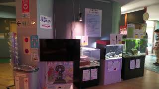 外からやって来た生き物展 (浜名湖体験学習施設ウォット) 2022年7月30日