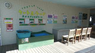 タートル・トープ (浜名湖体験学習施設ウォット) 2022年7月30日