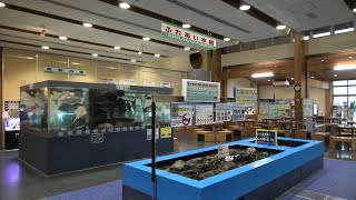 ふれあい水槽・鳥取の魚水槽 (鳥取県立とっとり賀露かにっこ館) 2019年11月27日