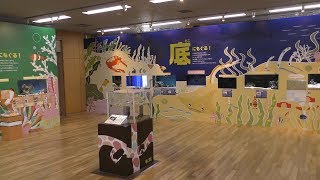もぐる！展 (相模川ふれあい科学館・特別企画展「もぐる！展」) 2018年11月30日