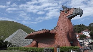 芝生広場の水鳥たち (伊豆シャボテン動物公園) 2019年10月1日