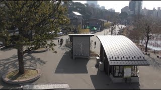 子ども動物園すてっぷ (上野動物園) 2018年2月17日