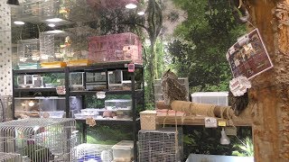 Exhibition area (Tropical GEM Tanuki-kouji Jungo, Hokkaido, Japan) June 13, 2019