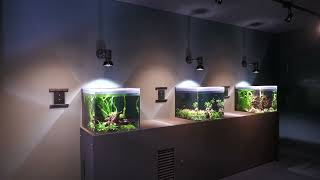 A Silent Classroom (Minatoyama Aquarium, Hyogo, Japan) July 1, 2022