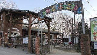 どうぶつ保育園 (渋川動物公園) 2019年2月26日