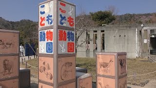 Children's zoo (Tokushima Zoo, Tokushima, Japan) March 2, 2019