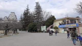 カピバラ の『おもち』と『かろん』 (姫路市立動物園) 2019年2月16日