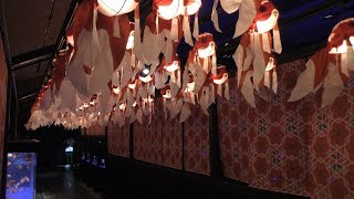 東京金魚ワンダーランド2018 (すみだ水族館) 2018年7月4日