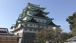 Sika (Nagoya Castle, Aichi, Japan) November 2, 2019