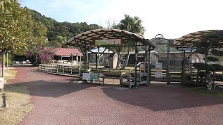 Small Zoo (Shibushiwan Daikoku Dolphin Land, Miyazaki, Japan) December 10, 2019