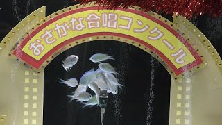 おさかな合唱水槽 (ヨコハマおもしろ水族館) 2017年12月16日