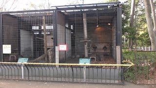 小獣舎 (夢見ケ崎動物公園) 2017年12月16日