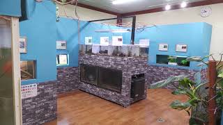 Aquarium Display (Urayasu Traffic Park, Chiba, Japan) August 4, 2023