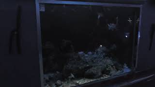 海のさかな水槽「深海を育むマリンスノー」 (神戸市立須磨海浜水族園) 2018年12月21日