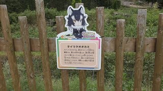 タイリクオオカミとけものフレンズパネル (多摩動物公園) 2017年9月23日