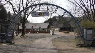 シマリス (福知山市動物園) 2019年3月29日