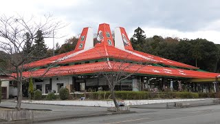 レッサーパンダが見えるレストラン (秋吉台サファリランド) 2019年12月3日