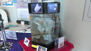 プラスチックごみのある風景 (浜名湖体験学習施設ウォット) 2022年7月30日