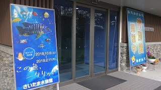 特別展「この魚、シクリッド」 (さいたま水族館) 2018年12月9日