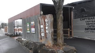 もうきん展示場 (姫路セントラルパーク) 2019年2月11日