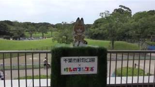 【おまけ】千葉市動物公園のサーバルちゃんパネル 2017年9月24日