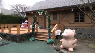 Small zoo (Kyushu Natural Animal Park African Safari, Oita, Japan) December 4, 2019