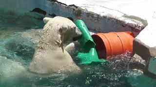 天王寺動物園 (2023年6月3日)