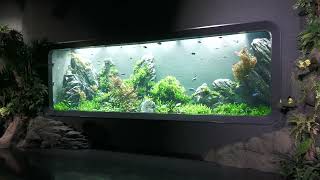 DMMかりゆし水族館 (2023年7月29日)