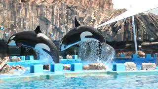 Port of Nagoya Public Aquarium (July 23, 2021)