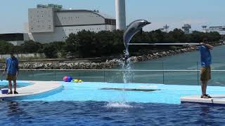 四国水族館 (2021年8月4日)