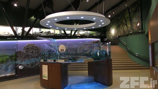 Sagamigawafureai Science Museum Aquarium (November 30, 2018)