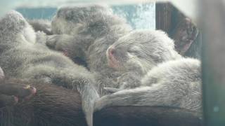 鳥羽水族館 (2022年7月17日)