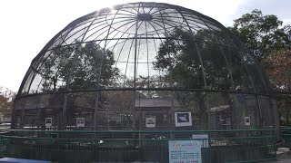 Sakura Park Children's Zoo (November 3, 2019)