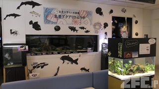 Kitasato Aquarium labo (November 30, 2018)