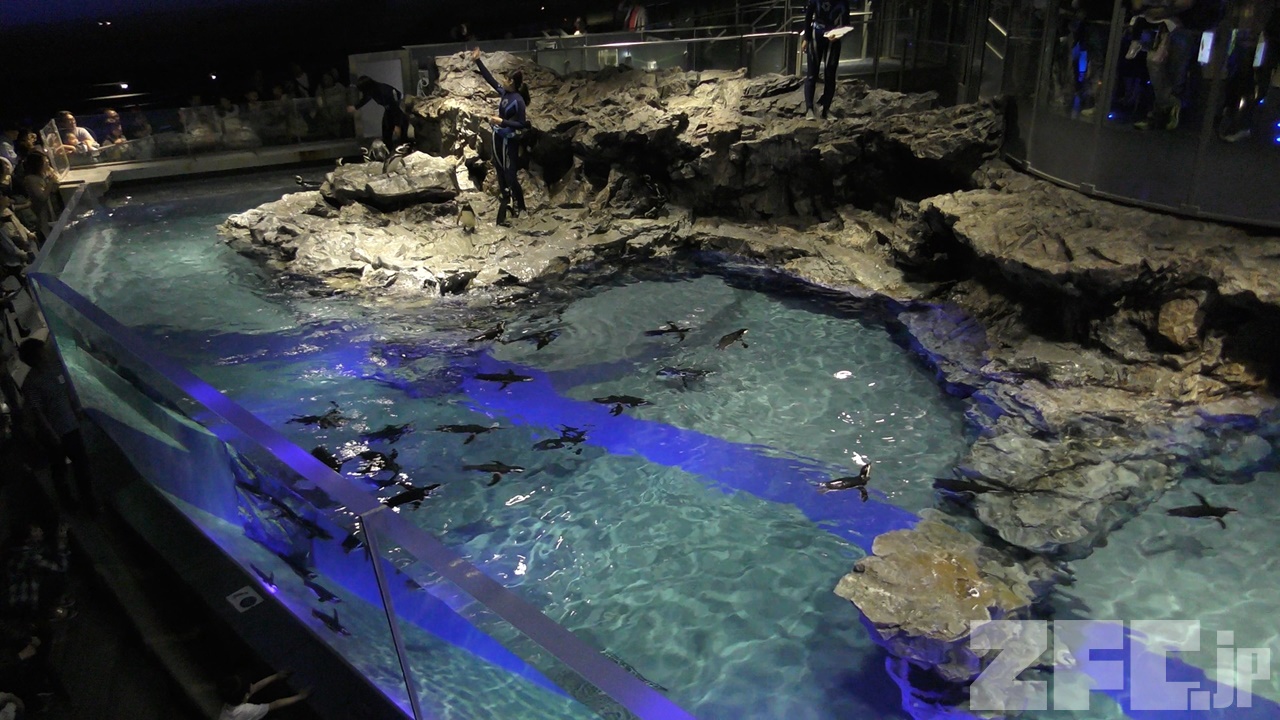 平日限定 すみだ水族館】いきものたちに会いに行く、公園みたい