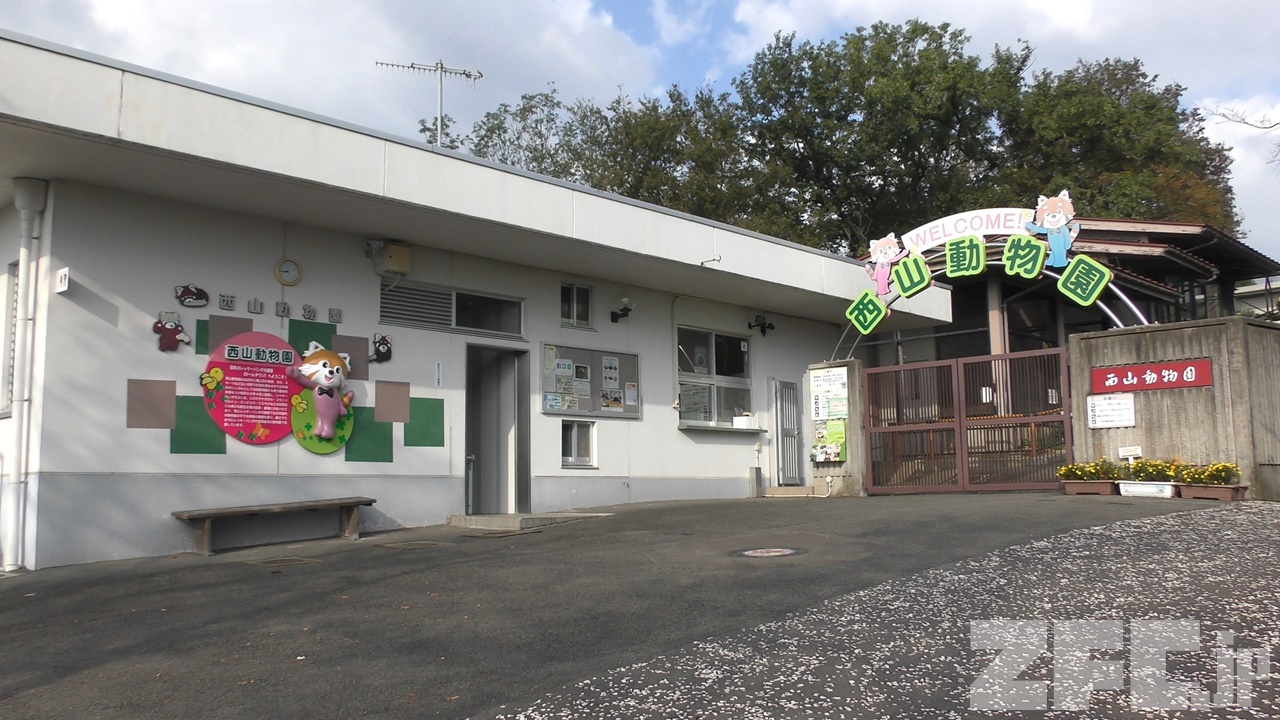 Nishiyama Zoo | ZFC.jp