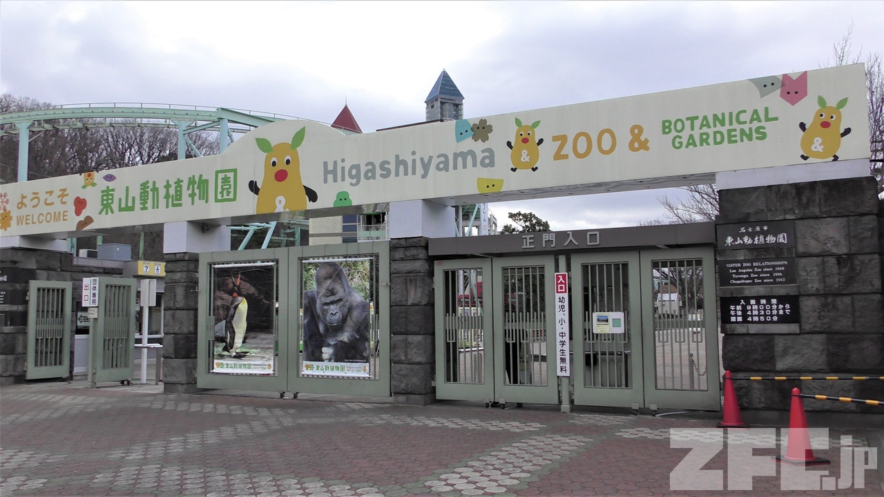 東山動物園 東山動植物園 ナイトZOO＆GARDEN