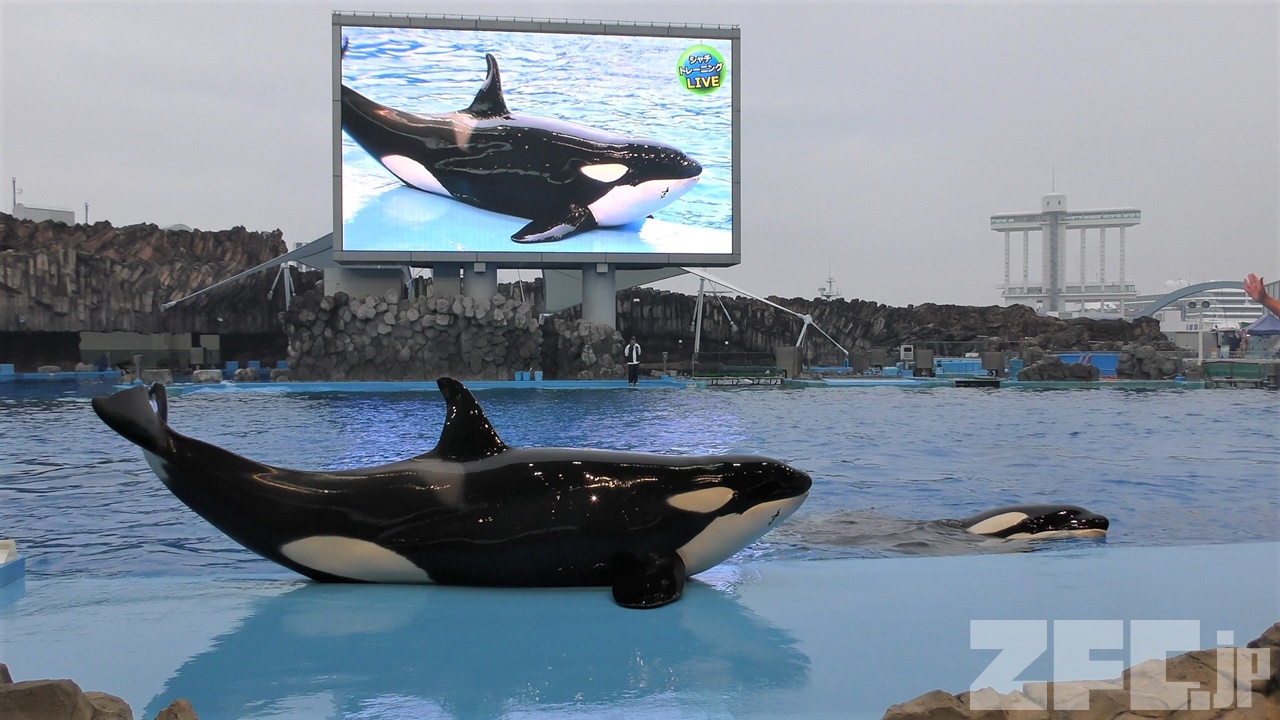 名古屋港水族館 | ZFC.jp