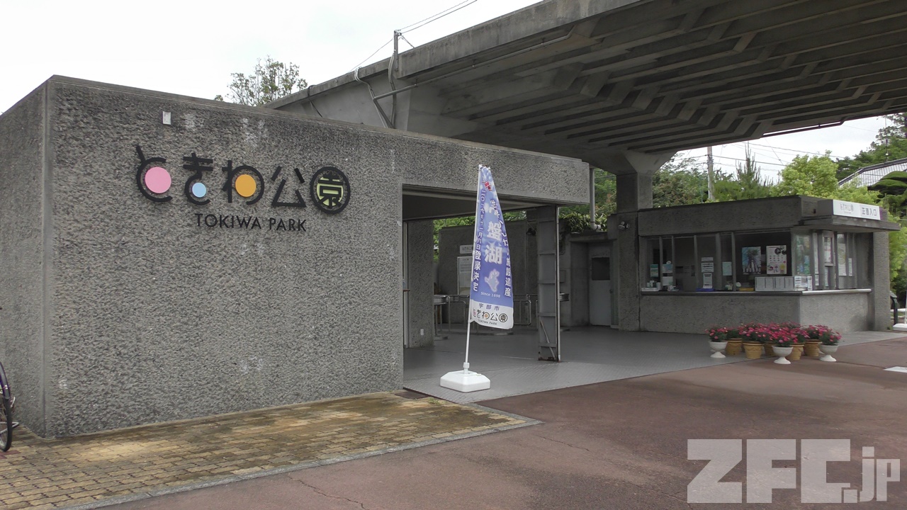 ときわ動物園 Yoko Oba | ときわ動物園の 動物たち🐒 飼育員さんデザインの 絵