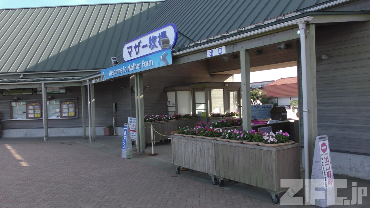 ラスト! 激レア 在り ご当地キティ 根付け マザー牧場 占い師 水族館 首里城 ラスト! 激レア 在り ご当地キティ 根付け マザー牧場 占い師