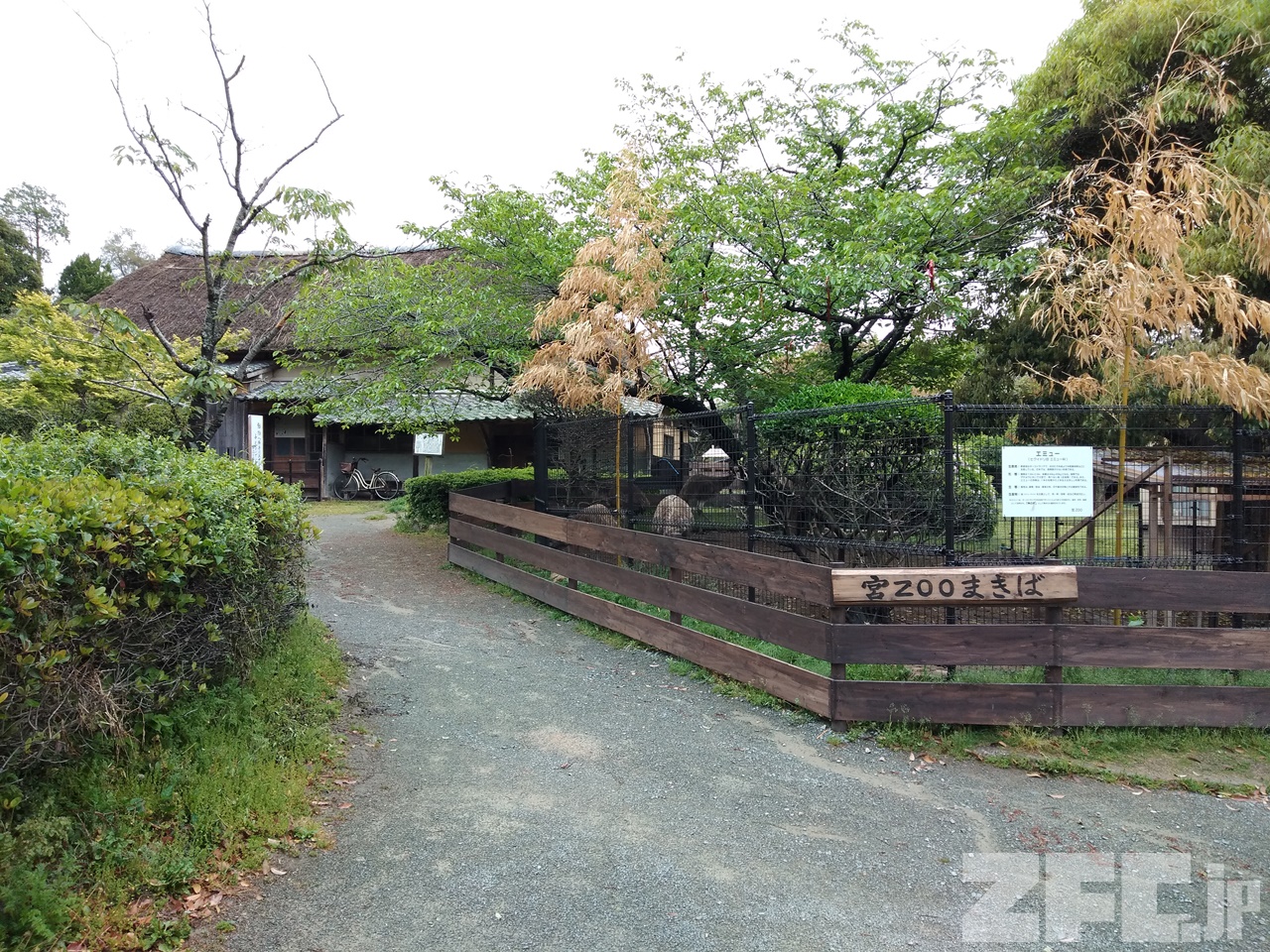宮地嶽神社 宮ZOO | ZFC.jp