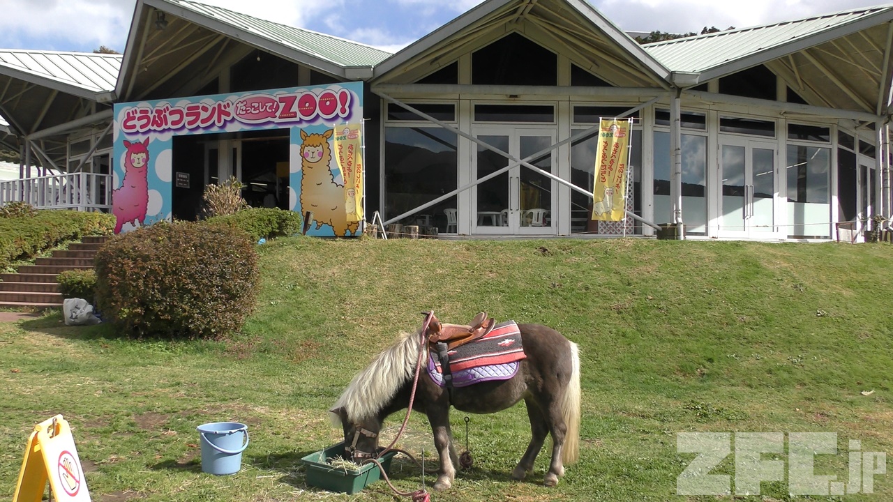 箱根園どうぶつランド だっこして！ZOO！ | ZFC.jp