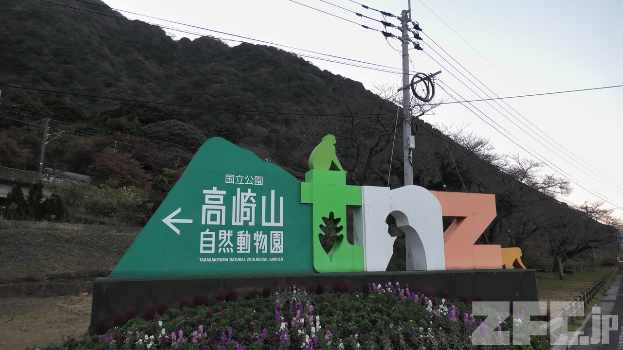 高崎山自然動物園 | ZFC.jp