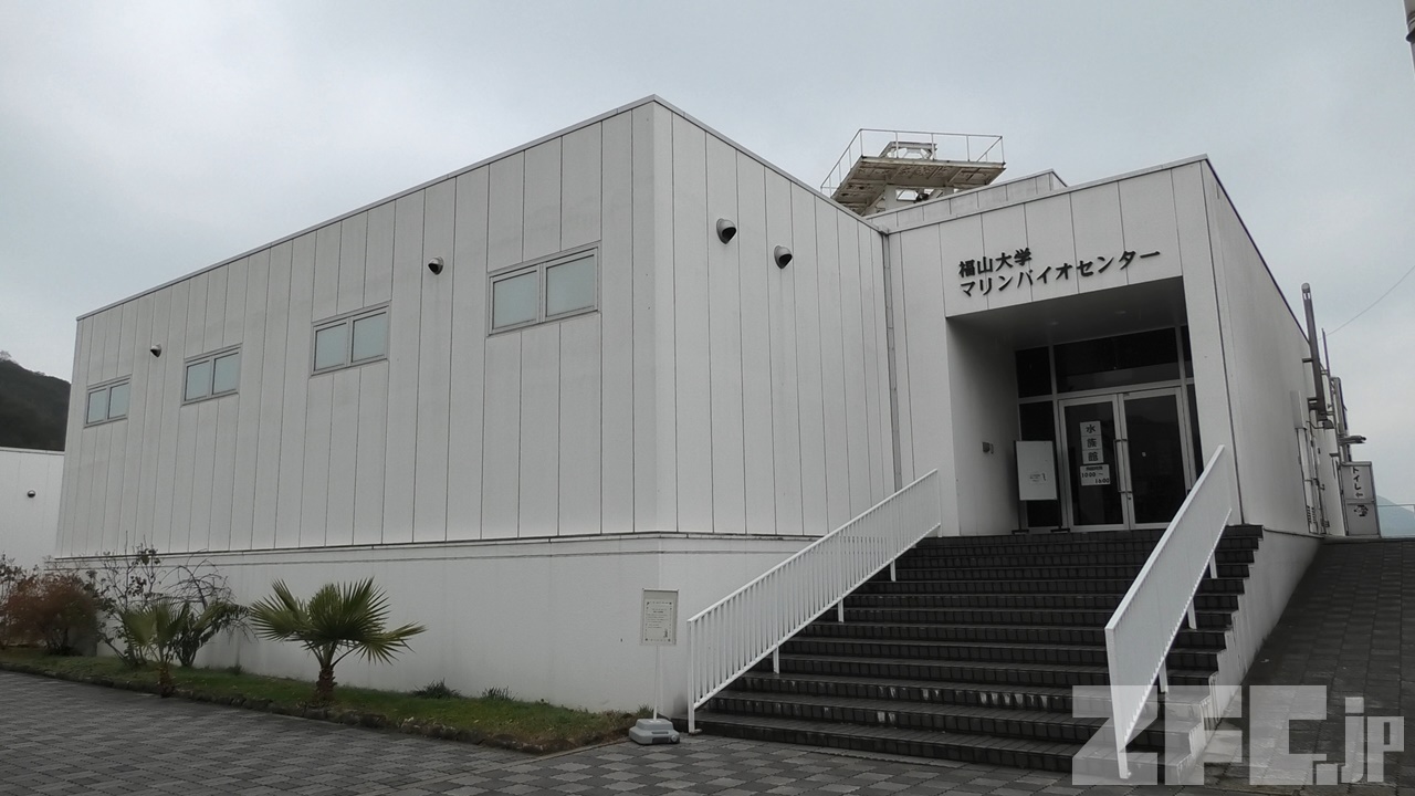 福山 大学 マリン バイオ センター 水族館