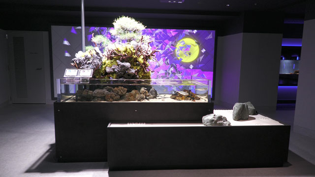 スマートアクアリウム静岡